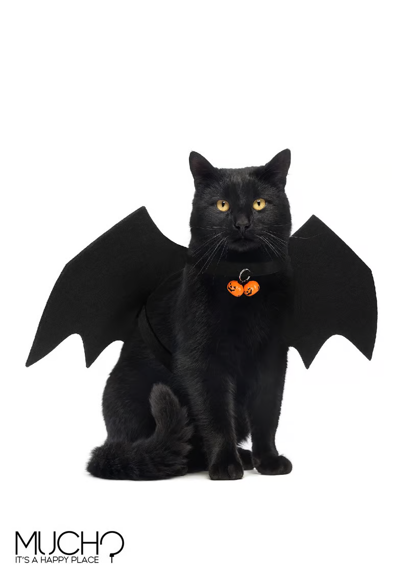 Cat/Dog Bat Costume