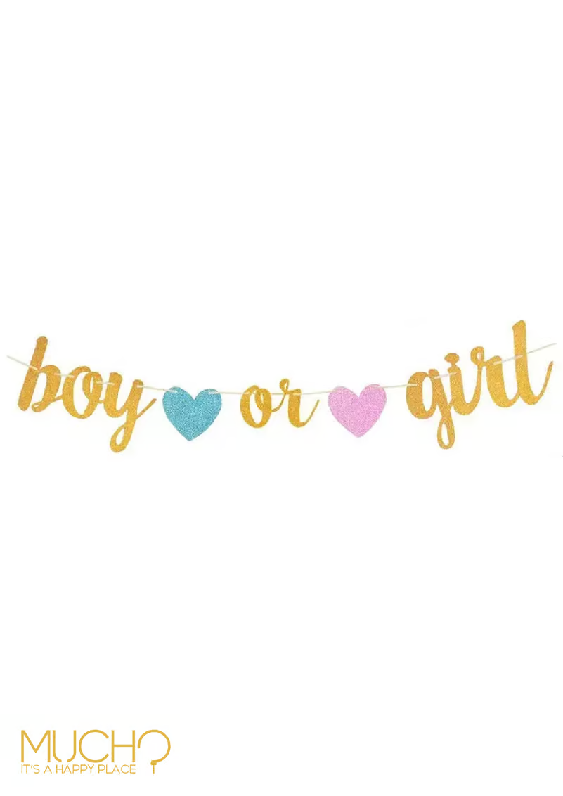 Boy or Girl Banner