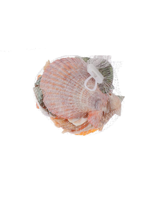 Shell Decoration