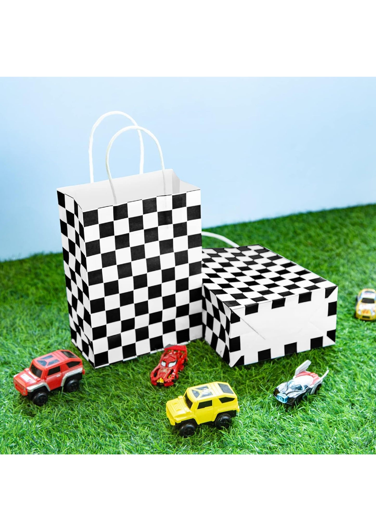 Checkered Giveaway Bags (Pack of 12)